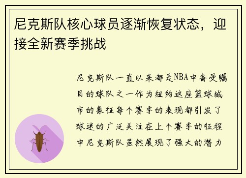尼克斯队核心球员逐渐恢复状态，迎接全新赛季挑战